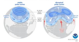 Graphic showing an illustration of the Earth with the jet stream and “stable” polar vortex confined to the North Pole on the left and the Earth with a “disrupted” polar vortex and jet stream further south, with cold air intrusion into the mid-latitude regions on the right.